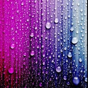 Meet your Posher, Roberto